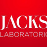 Laboratorio Jackson Palmares