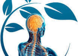 Cl&iacute;nica Quiropr&aacute;ctica Life